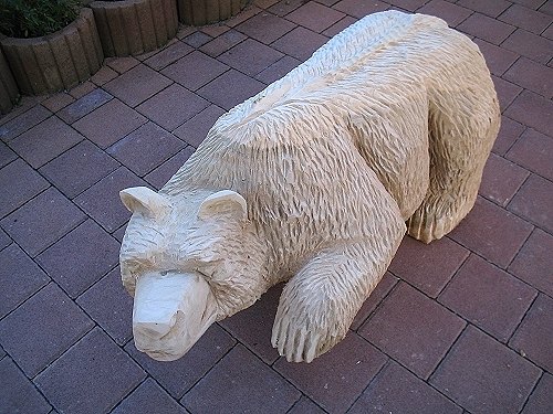 w_walking_baer_1b.jpg
