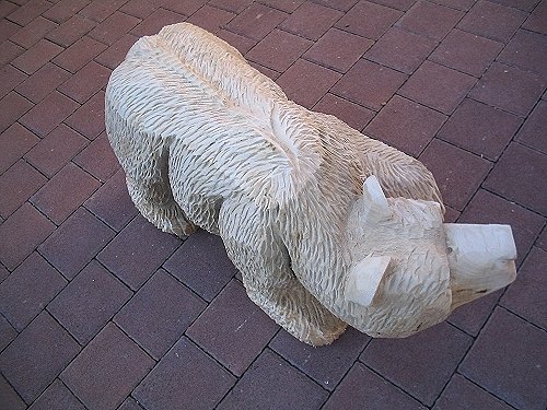 w_walking_baer_1c.jpg