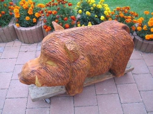 w_wildschwein1b.jpg