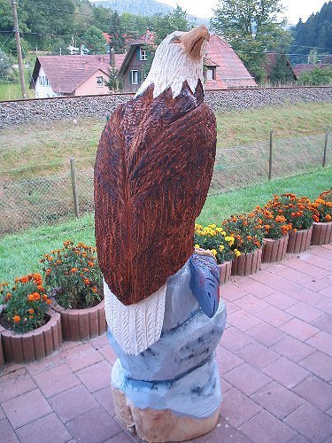 s_adler4b.jpg