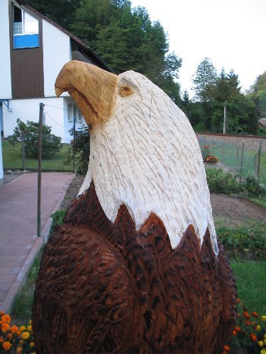 s_adler4c.jpg