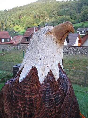 s_adler4e.jpg