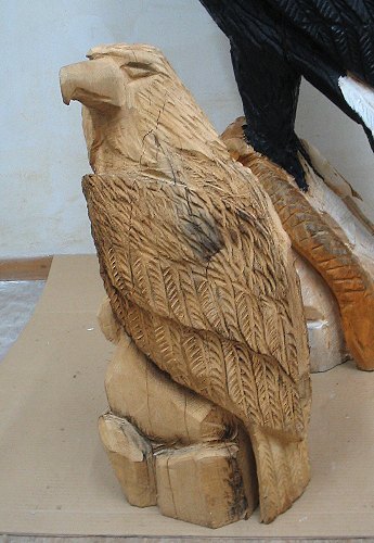 s_adler6.jpg