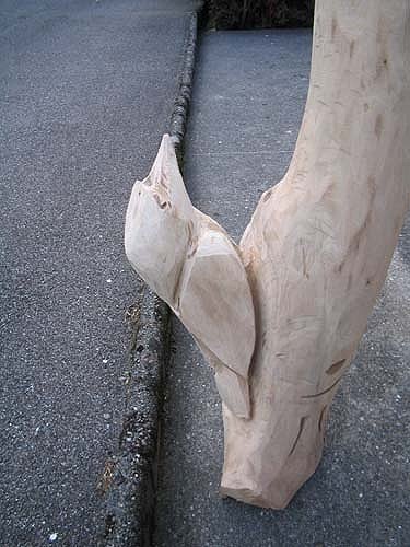 s_eisvogel3.jpg