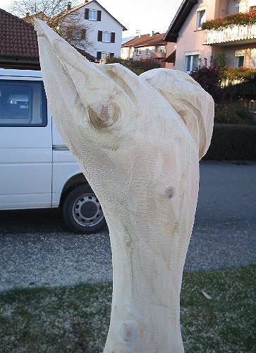 s_paradiesvogel.jpg